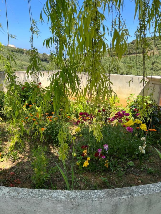 Eugene Apartment Chania  Luaran gambar